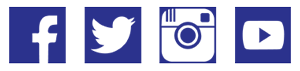 Social Media Icons