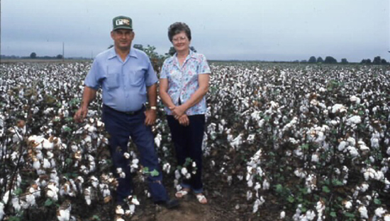 Couple in cotton field