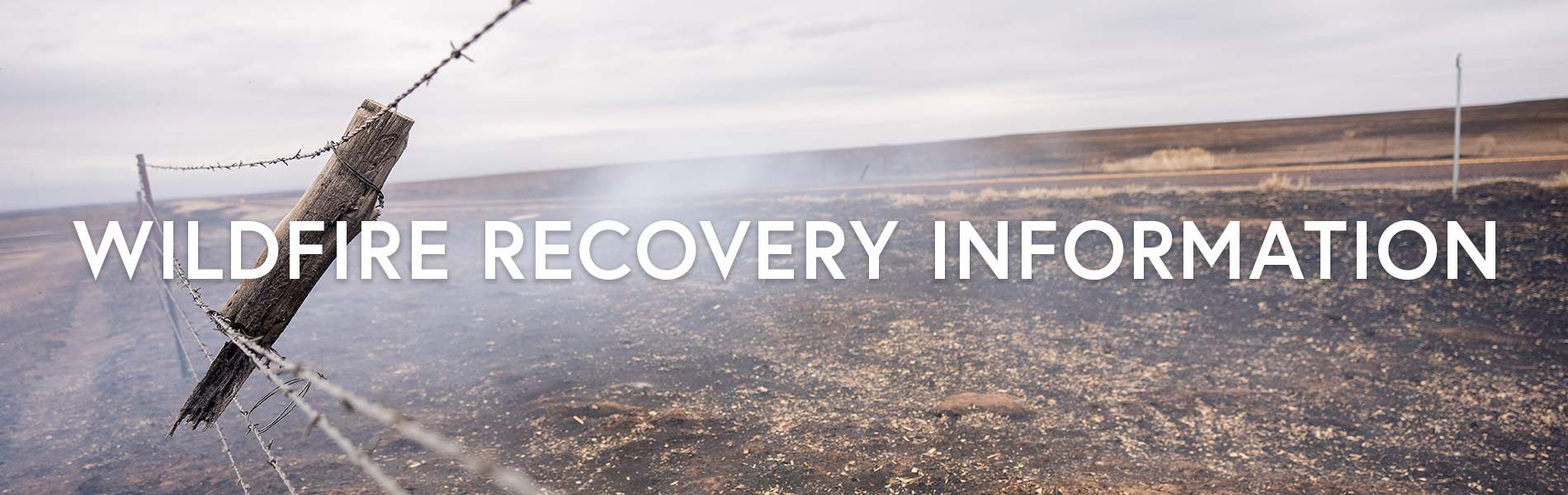 DISASTER ASSISTANCE 2